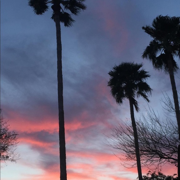 Meet your Posher, Urban decay - Picture 5 of 5